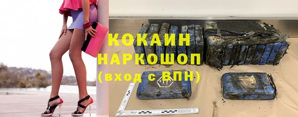шишки Арсеньев