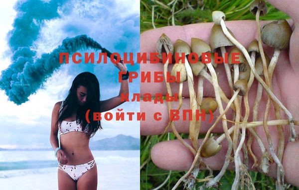 прущие крисы Балахна