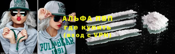 шишки Арсеньев