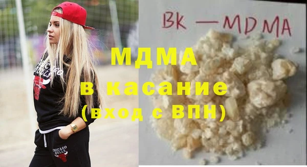 шишки Арсеньев