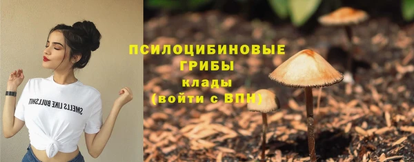 а пвп мука Армянск