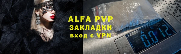 шишки Арсеньев