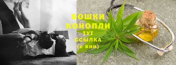 шишки Арсеньев