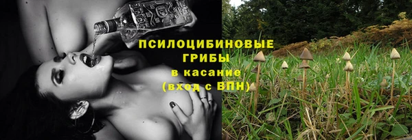 шишки Арсеньев