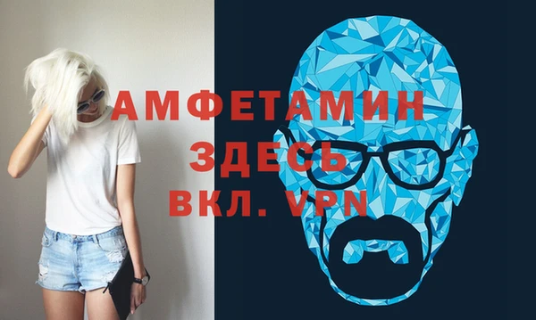шишки Арсеньев