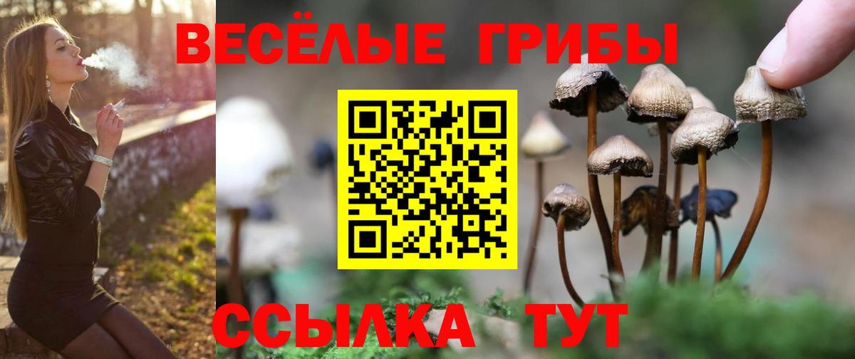Псилоцибиновые грибы ЛСД  Вход с VPN  Карабулак 